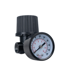 AR5 - 2.75 in Air Line Regulator 1/4 in FNPT Inlet/Outlet, 200 psi Pressure Capacity