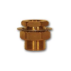 207ACBH-4 - 1/4 in FIP x 1/4 in FIP Brass Bulkhead Anchor Frame Coupling, 1-1/2 in Length