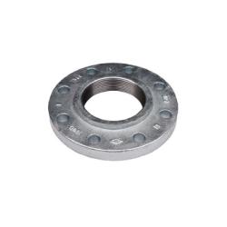 108029 - 6 in x 6 in Threaded Galvanized Iron Companion Flange, 11 in Diameter, 1.56 in Height