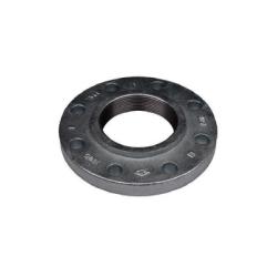 108073 - 16 in OD x 1.94 in H Ductile Iron Companion Flange - 10 in Threaded x 10 in Threaded