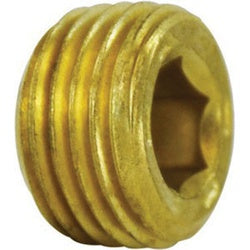 28093TLF - 1/8 in Taper Hex Socket Made of Lead-Free Brass