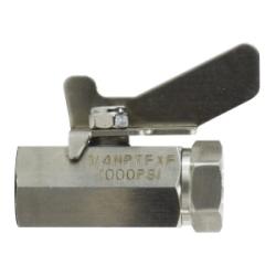 46924SS - 1/2-in Female Thread Miniature Ball Valve, 316 SS, 2.81 in Length, 1000 psi WOG