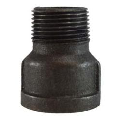 65623 - 1 in FPT x MPT Malleable Iron Extension Piece Adapter