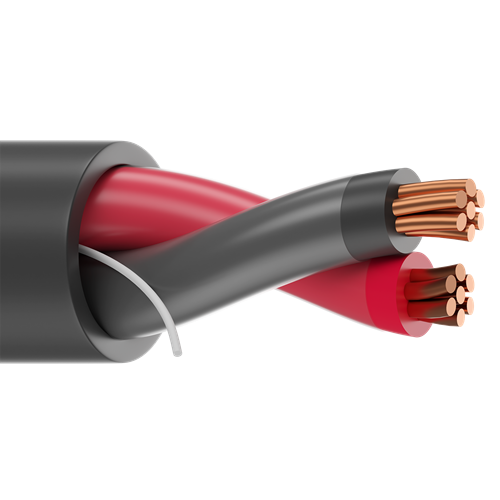 Belden 27138A 10 AWG 2 Conductor 7x18 Stranding Bare Copper 600V Multi-Conductor Cable