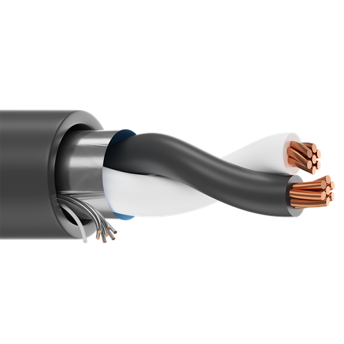 Belden 1035A 16 AWG 1 Pair 7x24 Stranding Bare Copper 300V Instrumentation PLTC Cable