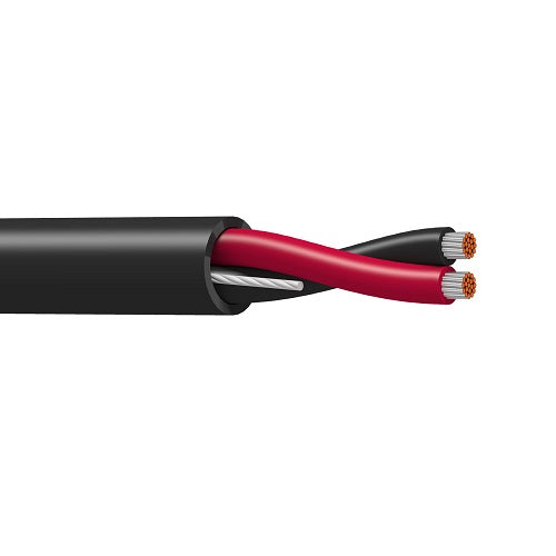 Belden 9407 22 AWG 1 Pair 7x30 Stranding Tinned Copper 300V High Performance Instrumentation Cable