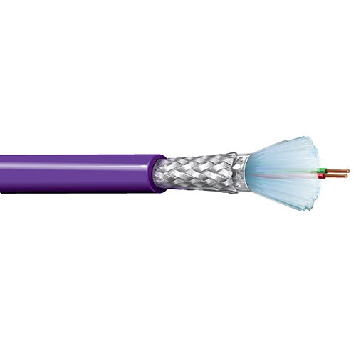 Belden 3079Z 22 AWG 1 Pair Solid Bare Copper 300V Profibus Cable