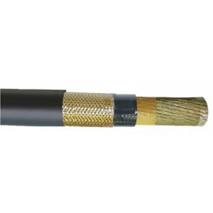 14 AWG 1C Type P Unarmored Power Cable 600V