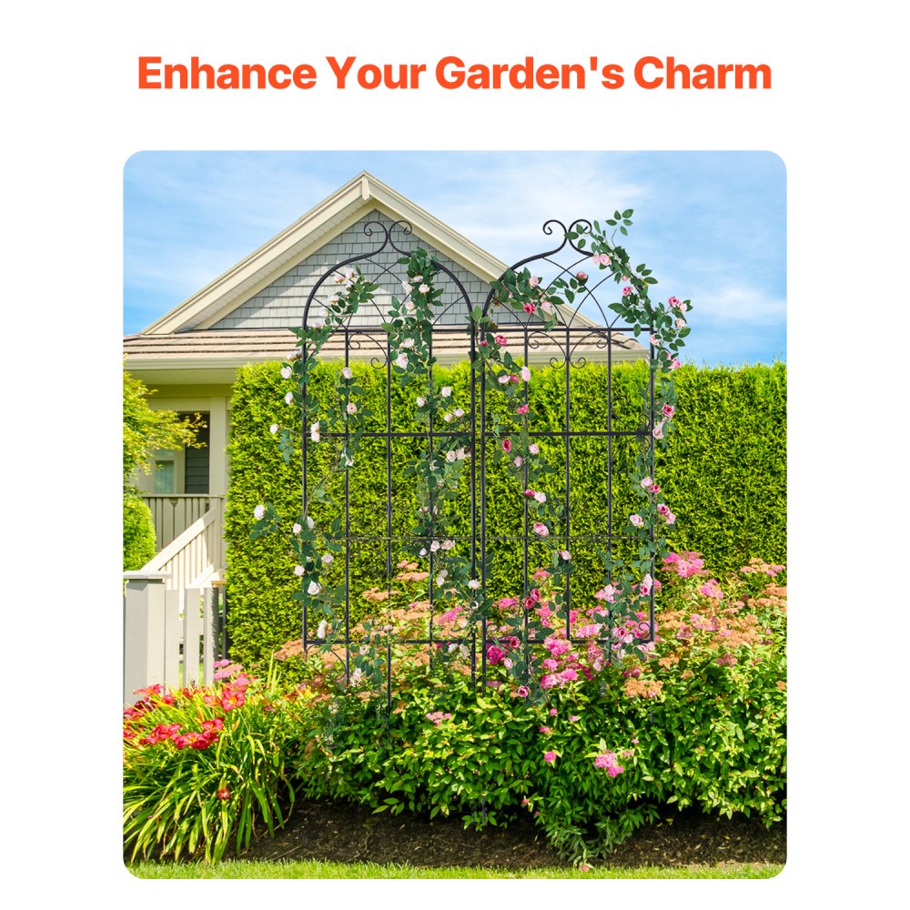 TFHPJ51180-2 - 71" Metal Trellis for Robust Climbing Plant Support