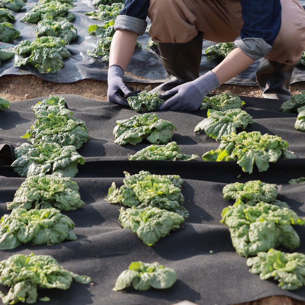 1.8*30.5-271 - 6x100FT VEVOR Weed Control Geotextile Fabric, Durable & Tear-Resistant