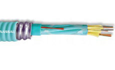 Superior Essex Cable 24 Fiber Count Interlock Armored 3mm Microarray Breakout OFCR Cable L3024XPB