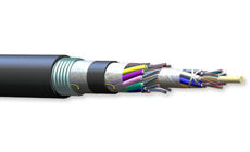 Corning 216EU5-T4101A20 216 Fiber Singlemode Altos Double Jacket Single Armored Cable
