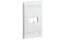 Panduit CFPL2IWY Faceplate 2 Port Single Gang Classic Off White