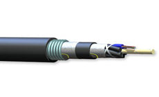 Corning 048KU5-T4130F20 48 Fiber 62.5 &micro;m Multimode Altos Low Temp. Loose Tube Gel-Free Double Jacket Single Armored Cable