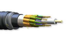 Corning 048K8P-61130-A3 48 Fiber 62.5 µm Multimode Unitized Interlocking Armored Tight Buffered Plenum Cable