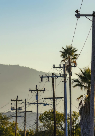 Everything You Need to Know about THHN Cables