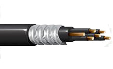Belden 12 AWG CSA Control 600V TECK 90 7x20 Armored Unshielded Cable