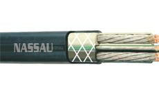 Type G and Type G-CGC