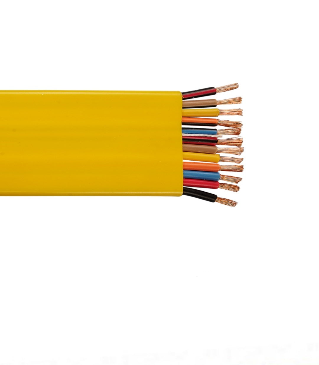500' 16 AWG 12C Flat Festoon Shielded Polyvinyl Chloride 600V Yellow Cable