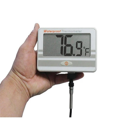 Large Display Temperature Monitor