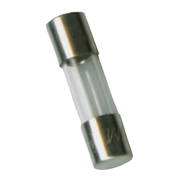 Fuse 1.0A 0.2 Ohm 250V (3 PACK)