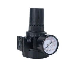 AR9 - 4.20 in 3/8 in FNPT Air Line Regulator with 5-180 psi Adjustment