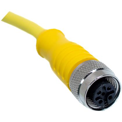 C4C02M006 - 6M M12 Cordset, 18 AWG, 4-Position Female End  (Pack of 5)