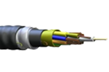 Indoor/Outdoor Cables