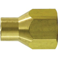 34120 - 1/4 in FPT to 1/4 in Female POL Brass Adapter for Versatile Applications