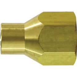 34122 - 1/2 in FPT x 1/2 in Female POL Brass Adapter