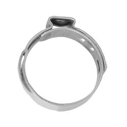 35211 - 3/4 in Single Ear Clamp for Various Applications