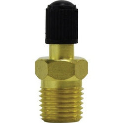 46622 - 1/4 in MNPT Brass Spring Core Tank Valve with Black Cap, 300 psi