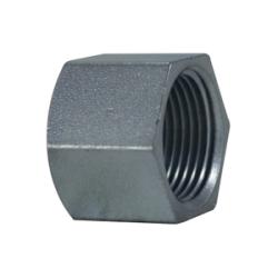 66471 - Zinc-Plated Steel Hex Cap, 1/4 in FNPT, 0.63 in Length, 150 lb Pressure Rating