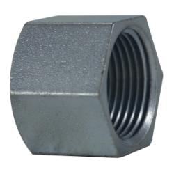 66478 - 2 in NPT Hex Cap Fitting, 1.45 in Length, Carbon Steel, Zinc-Plated