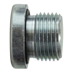 9522H4 - 1/4 in Male BSPP Hollow Hex Plug - Durable Steel, 375°F Rated
