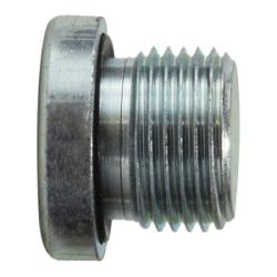 9522H8 - 1/2 in Male BSPP Hollow Hex Plug, Steel Construction