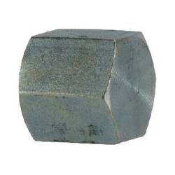 SS5406-C-04 - 1/4 in FNPT Stainless Steel Hex Pipe Cap, 0.811 in Length, 6600 psi Pressure Rating