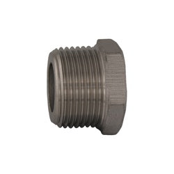62631MS - 1/4-in Male NPT Stainless Steel Cored Hex Head Plug