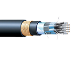 Type P Multi Conductor Cable