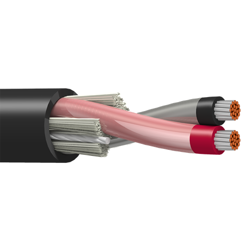 Belden 9487 16 AWG 1 Pair 19x29 Stranding Tinned Copper 600V Instrumentation Tray Cable