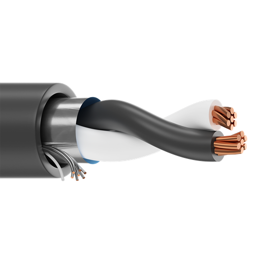 Belden 1032A 18 AWG 1 Pair 7x26 Stranding Bare Copper 300V Instrumentation PLTC Cable