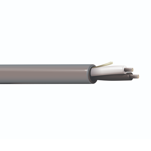 Belden 6000UE 12 AWG 2 Conductor 19x25 Stranding Bare Copper 300V Security and Sound Cable