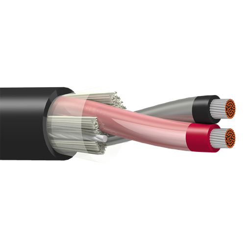 Belden 9488 14 AWG 1 Pair 41x30 Stranding Tinned Copper 600V Instrumentation Cable