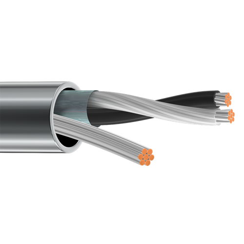 Belden 9461 22 AWG 2 Conductor 7x30 Stranding Tinned Copper 300V Electronic Cable