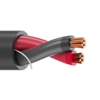 Belden 27641A 12 AWG 2 Conductor 7x20 Stranding Bare Copper 600V Type TC Cable
