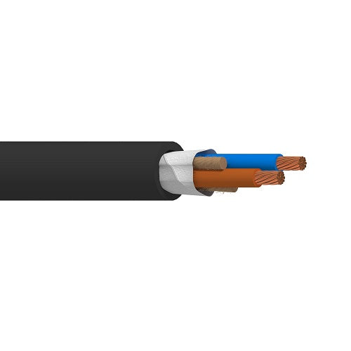 Belden 19502 14 AWG 2 Conductor 41x30 Stranding Bare Copper 600V Portable Cordage Cable