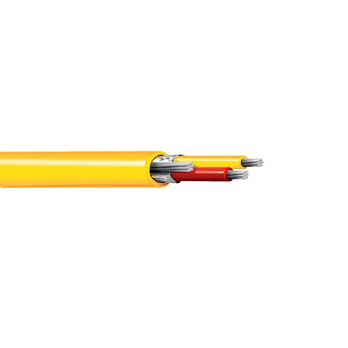 Belden 83955 20 AWG 1 Pair 7x28 Stranding Chromel and Constantan 300V Type EX Thermocouple Cable