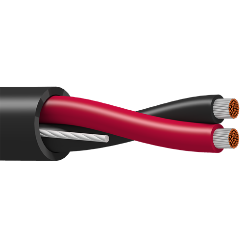 Belden 9412 12 AWG 1 Pair 65x30 Stranding Tinned Copper 300V Instrumentation PLTC Cable