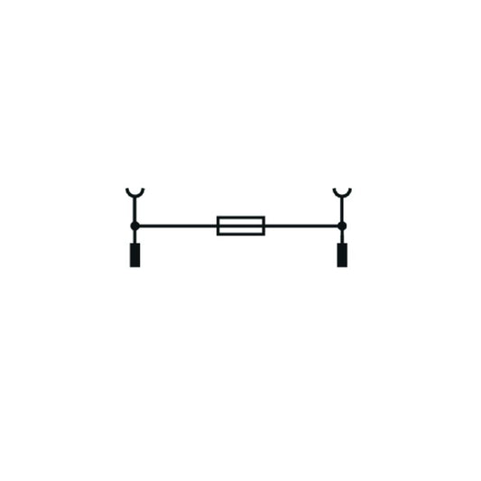 2869680000 - FSPG BK Pivoting Fuse Holder, 6mm x 38mm, 6.3A Rated  (Pack of 25)