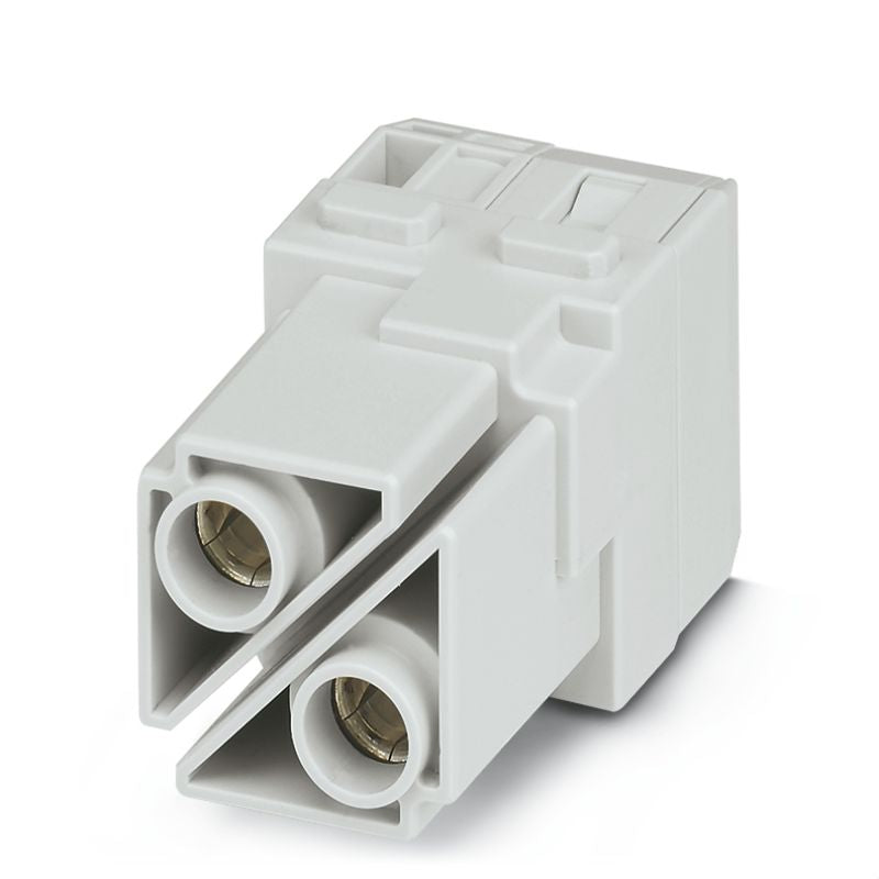2748290000 - 1000 V Power Module, 100 A, 2-Pole with Axial Connection  (Pack of 2)